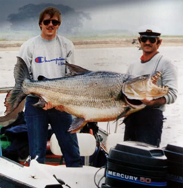 3145_Douglas Dann_Giant Tigerfish_Hydrocynus goliath.jpg 3145_Douglas Dann_Giant Tigerfish_Hydrocynus goliath.jpg